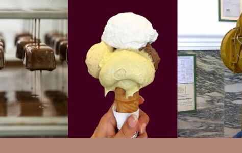 Tour Degustazione Gelateria Fassi