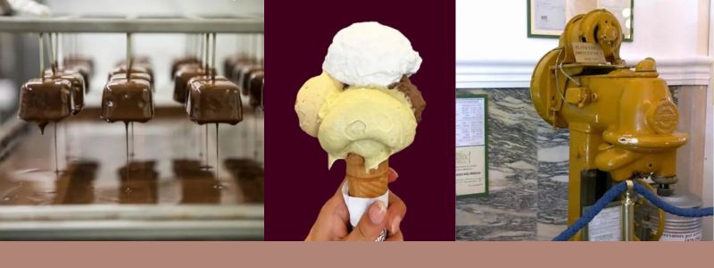 Tour Degustazione Gelateria Fassi